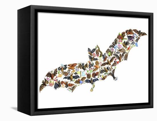 Bat-Louise Tate-Framed Stretched Canvas