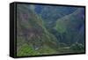 Batad Rice Terraces, Banaue, Luzon, Philippines-Michael Runkel-Framed Stretched Canvas
