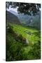 Batad Rice Terraces, Banaue, Luzon, Philippines-Michael Runkel-Stretched Canvas