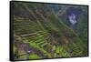 Batad Rice Terraces, Banaue, Luzon, Philippines-Michael Runkel-Framed Stretched Canvas