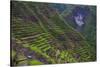 Batad Rice Terraces, Banaue, Luzon, Philippines-Michael Runkel-Stretched Canvas