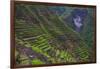 Batad Rice Terraces, Banaue, Luzon, Philippines-Michael Runkel-Framed Photographic Print