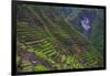 Batad Rice Terraces, Banaue, Luzon, Philippines-Michael Runkel-Framed Photographic Print