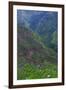 Batad Rice Terraces, Banaue, Luzon, Philippines-Michael Runkel-Framed Photographic Print