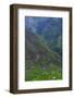 Batad Rice Terraces, Banaue, Luzon, Philippines-Michael Runkel-Framed Photographic Print