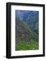 Batad Rice Terraces, Banaue, Luzon, Philippines-Michael Runkel-Framed Photographic Print