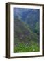 Batad Rice Terraces, Banaue, Luzon, Philippines-Michael Runkel-Framed Photographic Print