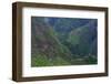 Batad Rice Terraces, Banaue, Luzon, Philippines-Michael Runkel-Framed Photographic Print