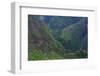 Batad Rice Terraces, Banaue, Luzon, Philippines-Michael Runkel-Framed Photographic Print