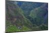 Batad Rice Terraces, Banaue, Luzon, Philippines-Michael Runkel-Mounted Photographic Print