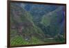 Batad Rice Terraces, Banaue, Luzon, Philippines-Michael Runkel-Framed Photographic Print