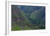 Batad Rice Terraces, Banaue, Luzon, Philippines-Michael Runkel-Framed Photographic Print