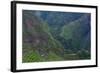 Batad Rice Terraces, Banaue, Luzon, Philippines-Michael Runkel-Framed Photographic Print