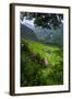 Batad Rice Terraces, Banaue, Luzon, Philippines-Michael Runkel-Framed Photographic Print