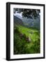 Batad Rice Terraces, Banaue, Luzon, Philippines-Michael Runkel-Framed Photographic Print