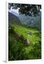 Batad Rice Terraces, Banaue, Luzon, Philippines-Michael Runkel-Framed Photographic Print