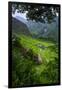 Batad Rice Terraces, Banaue, Luzon, Philippines-Michael Runkel-Framed Photographic Print