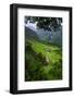 Batad Rice Terraces, Banaue, Luzon, Philippines-Michael Runkel-Framed Photographic Print