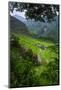 Batad Rice Terraces, Banaue, Luzon, Philippines-Michael Runkel-Mounted Photographic Print