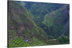 Batad Rice Terraces, Banaue, Luzon, Philippines-Michael Runkel-Stretched Canvas