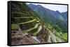 Batad Rice Terraces, Part of the UNESCO World Heritage Site of Banaue, Luzon, Philippines-Michael Runkel-Framed Stretched Canvas