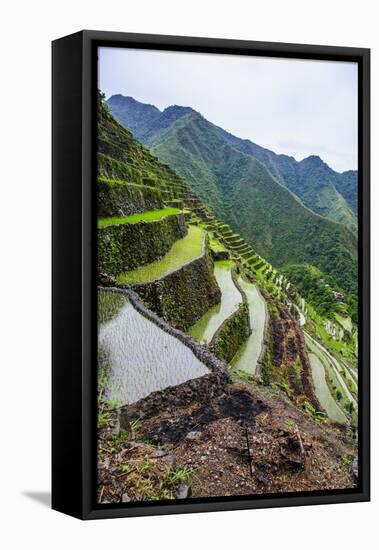 Batad Rice Terraces, Part of the UNESCO World Heritage Site of Banaue, Luzon, Philippines-Michael Runkel-Framed Stretched Canvas