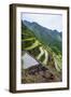 Batad Rice Terraces, Part of the UNESCO World Heritage Site of Banaue, Luzon, Philippines-Michael Runkel-Framed Photographic Print