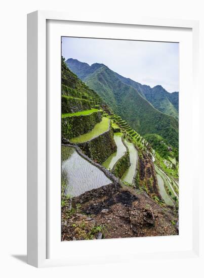 Batad Rice Terraces, Part of the UNESCO World Heritage Site of Banaue, Luzon, Philippines-Michael Runkel-Framed Photographic Print