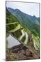 Batad Rice Terraces, Part of the UNESCO World Heritage Site of Banaue, Luzon, Philippines-Michael Runkel-Mounted Photographic Print