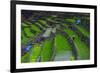 Batad Rice Terraces, Part of the UNESCO World Heritage Site of Banaue, Luzon, Philippines-Michael Runkel-Framed Photographic Print