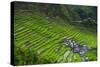 Batad Rice Terraces, Part of the UNESCO World Heritage Site of Banaue, Luzon, Philippines-Michael Runkel-Stretched Canvas