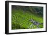 Batad Rice Terraces, Part of the UNESCO World Heritage Site of Banaue, Luzon, Philippines-Michael Runkel-Framed Photographic Print