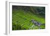 Batad Rice Terraces, Part of the UNESCO World Heritage Site of Banaue, Luzon, Philippines-Michael Runkel-Framed Photographic Print