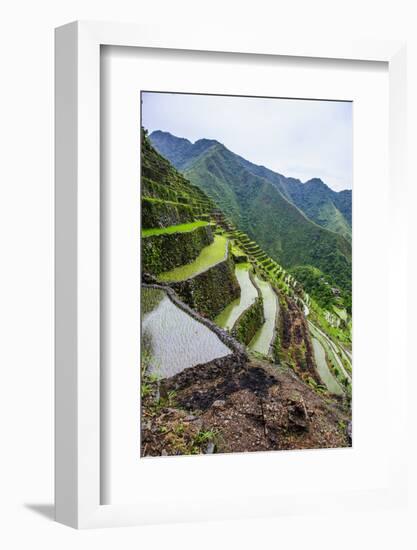 Batad Rice Terraces, Part of the UNESCO World Heritage Site of Banaue, Luzon, Philippines-Michael Runkel-Framed Photographic Print