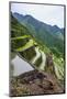 Batad Rice Terraces, Part of the UNESCO World Heritage Site of Banaue, Luzon, Philippines-Michael Runkel-Mounted Photographic Print