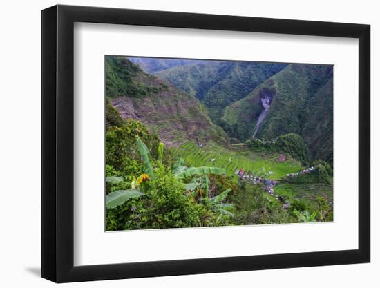 Batad Rice Terraces, Part of the UNESCO World Heritage Site of Banaue, Luzon, Philippines-Michael Runkel-Framed Photographic Print