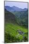 Batad Rice Terraces, Part of the UNESCO World Heritage Site of Banaue, Luzon, Philippines-Michael Runkel-Mounted Photographic Print