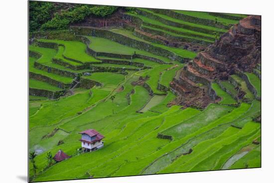 Batad Rice Terraces, World Heritage Site, Banaue, Luzon, Philippines-Michael Runkel-Mounted Premium Photographic Print