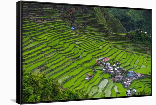 Batad Rice Terraces, World Heritage Site, Banaue, Luzon, Philippines-Michael Runkel-Framed Stretched Canvas