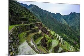 Batad Rice Terraces, World Heritage Site, Banaue, Luzon, Philippines-Michael Runkel-Mounted Premium Photographic Print