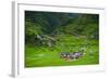 Batad Rice Terraces, World Heritage Site, Banaue, Luzon, Philippines-Michael Runkel-Framed Photographic Print