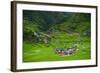 Batad Rice Terraces, World Heritage Site, Banaue, Luzon, Philippines-Michael Runkel-Framed Photographic Print