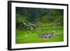 Batad Rice Terraces, World Heritage Site, Banaue, Luzon, Philippines-Michael Runkel-Framed Photographic Print