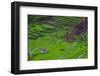 Batad Rice Terraces, World Heritage Site, Banaue, Luzon, Philippines-Michael Runkel-Framed Photographic Print