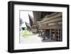 Batak Style Village Houses in Buhit-Annie Owen-Framed Photographic Print