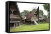 Batak Toba Tribal Rural Village Houses on Samosir Island in Lake Toba-Annie Owen-Framed Stretched Canvas