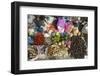 Batak Tribal Market Stall Selling Local Produce in Tomuk-Annie Owen-Framed Photographic Print