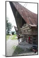 Batak Woman Carrying Skeins of Yarn to the Looms under Her Traditional Batak House-Annie Owen-Mounted Photographic Print