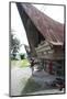 Batak Woman Carrying Skeins of Yarn to the Looms under Her Traditional Batak House-Annie Owen-Mounted Photographic Print