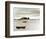 Bateau Flottant-Joane Mcdermott-Framed Premium Giclee Print